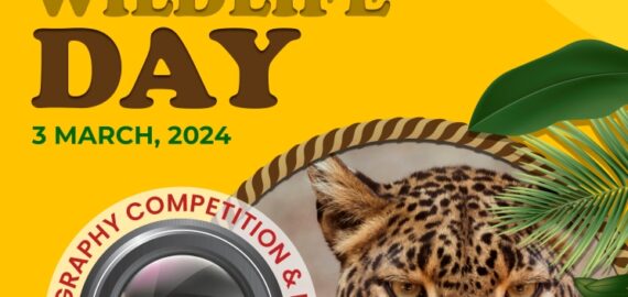 WORLD WILDLIFE DAY PHOTOGRAPHY COMPETITION